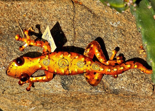 Regal art metal amber - regal,