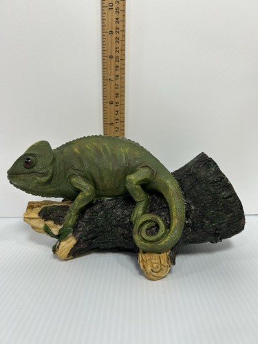 Green iguana sitting - iguana, a