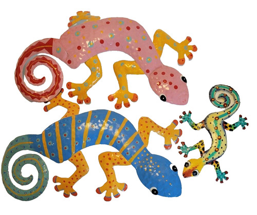 Lot gecko lizards - lot, 3